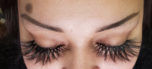 Fashionista Lashes